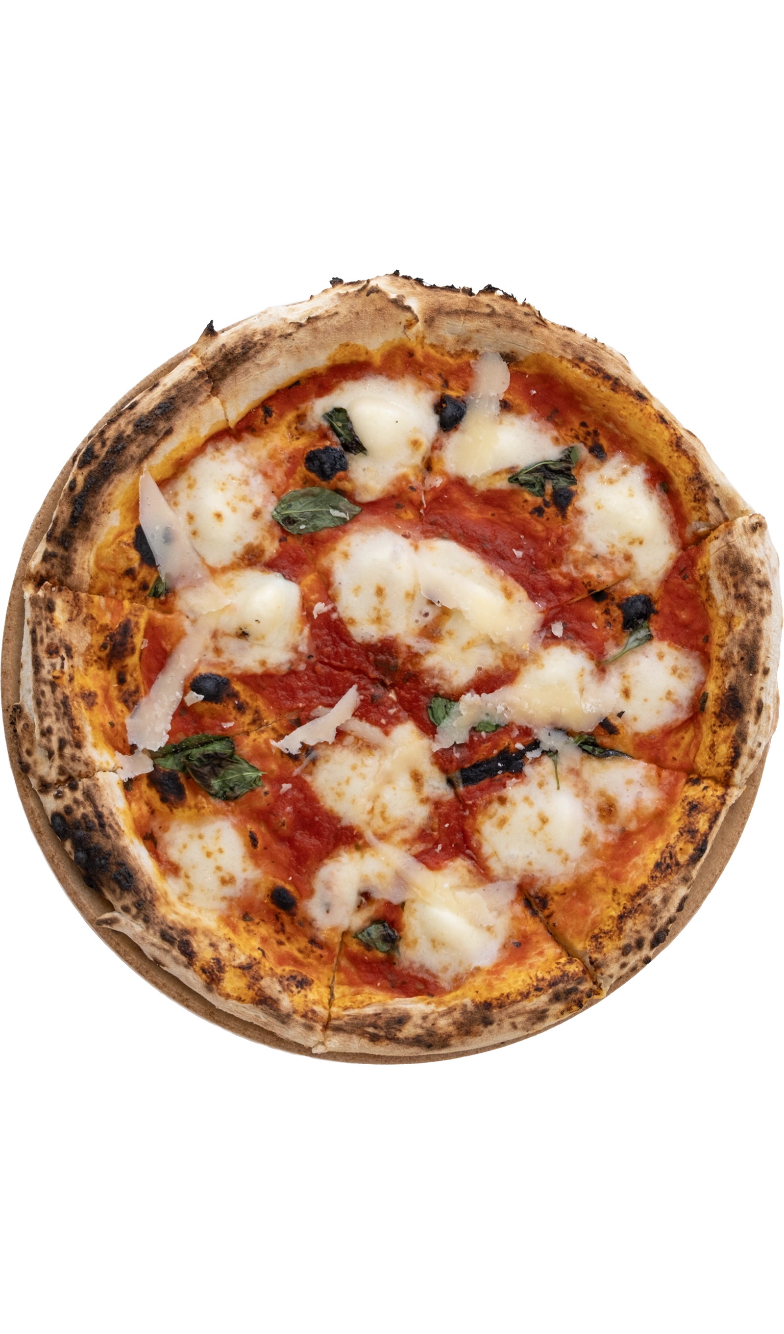 Traditional Napoletana pizza